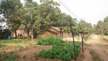 Saharia Organic Farm